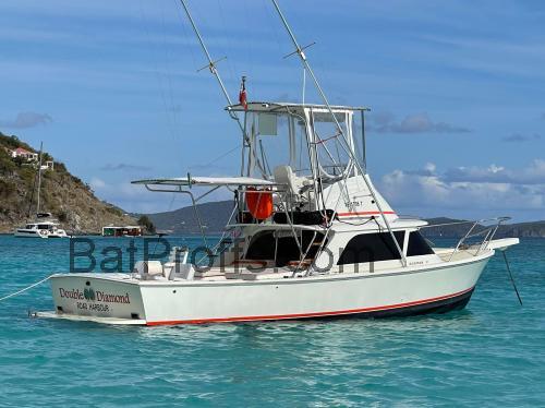 Bertram 31 tekniska specifikationer och recensioner